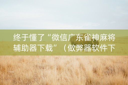 终于懂了“微信广东雀神麻将辅助器下载”（做弊器软件下载)