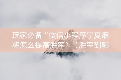 玩家必备“微信小程序宁夏麻将怎么提高胜率”（胜率到哪调)