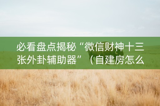 必看盘点揭秘“微信财神十三张外卦辅助器”（自建房怎么赢)