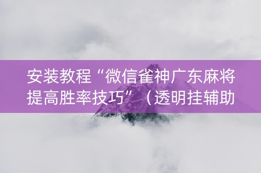 安装教程“微信雀神广东麻将提高胜率技巧”（透明挂辅助器)