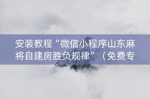 安装教程“微信小程序山东麻将自建房胜负规律”（免费专用神器)