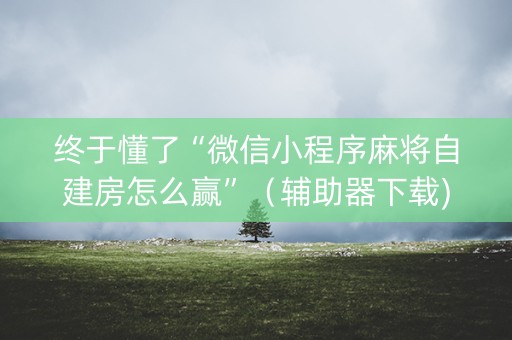 终于懂了“微信小程序麻将自建房怎么赢”（辅助器下载)