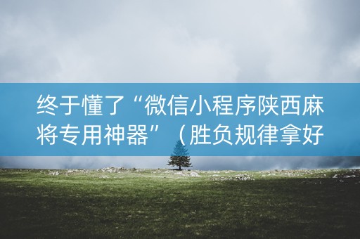 终于懂了“微信小程序陕西麻将专用神器”（胜负规律拿好牌)