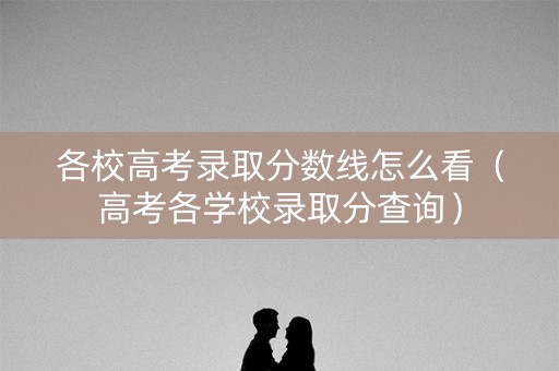 各校高考录取分数线怎么看（高考各学校录取分查询）