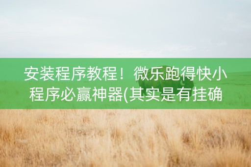 安装程序教程！微乐跑得快小程序必赢神器(其实是有挂确实有挂)