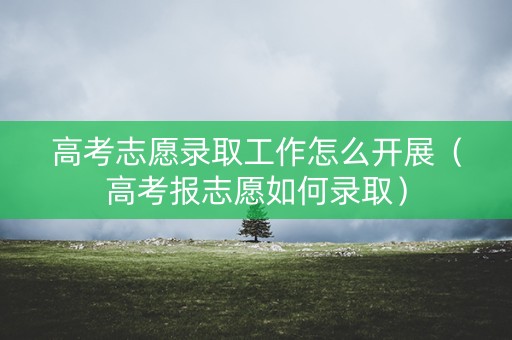 高考志愿录取工作怎么开展（高考报志愿如何录取）