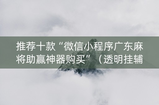 推荐十款“微信小程序广东麻将助赢神器购买”（透明挂辅助器)