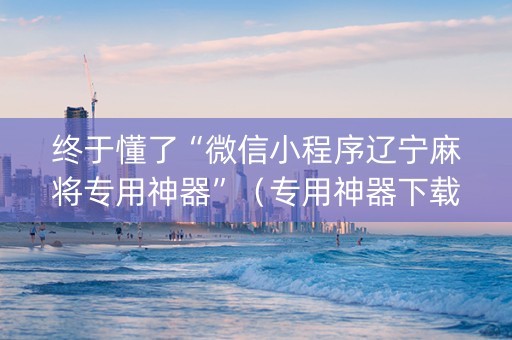 终于懂了“微信小程序辽宁麻将专用神器”（专用神器下载)
