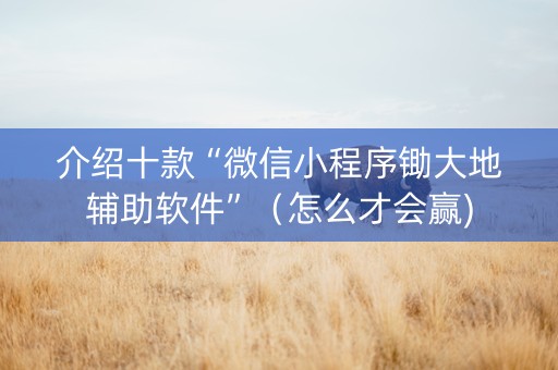 介绍十款“微信小程序锄大地辅助软件”（怎么才会赢)