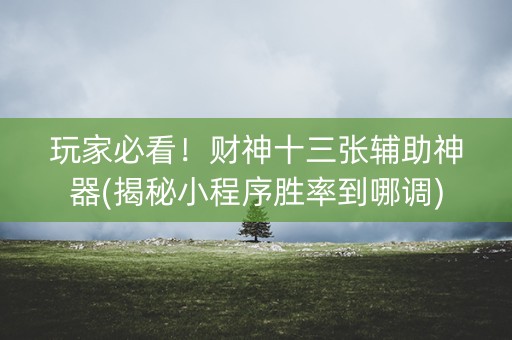 玩家必看！财神十三张辅助神器(揭秘小程序胜率到哪调)