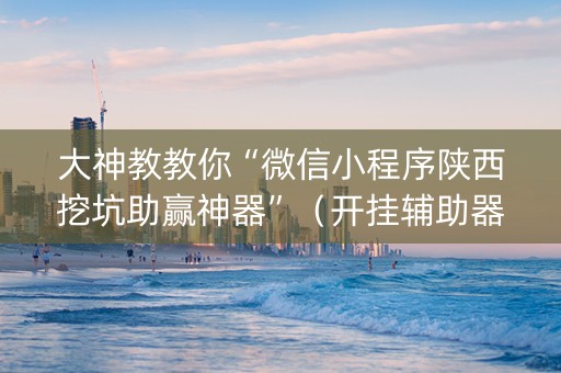 大神教教你“微信小程序陕西挖坑助赢神器”（开挂辅助器脚本)