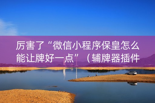 厉害了“微信小程序保皇怎么能让牌好一点”（辅牌器插件购买)