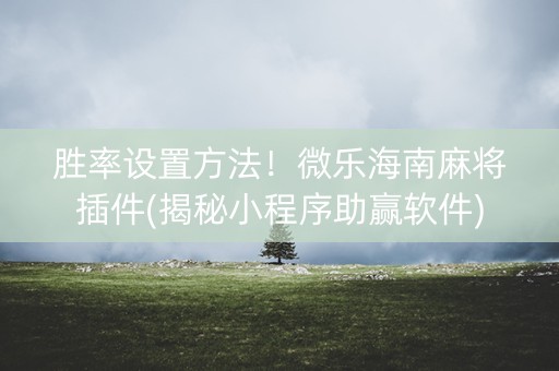 胜率设置方法！微乐海南麻将插件(揭秘小程序助赢软件)