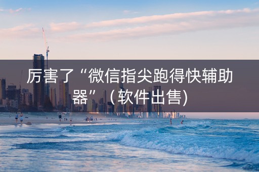 厉害了“微信指尖跑得快辅助器”（软件出售)