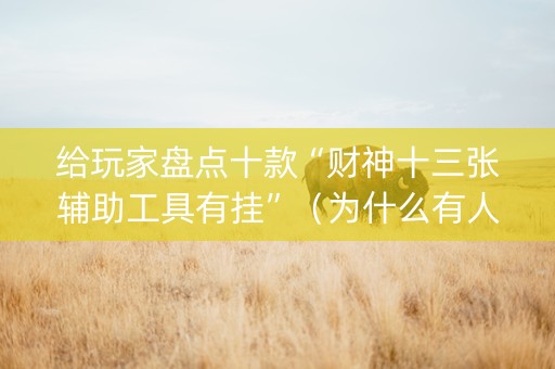 给玩家盘点十款“财神十三张辅助工具有挂”（为什么有人一直赢)