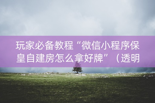 玩家必备教程“微信小程序保皇自建房怎么拿好牌”（透明挂辅助器)