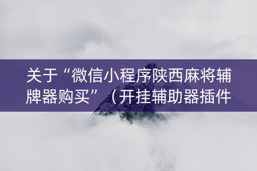 关于“微信小程序陕西麻将辅牌器购买”（开挂辅助器插件)