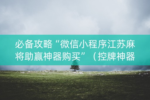 必备攻略“微信小程序江苏麻将助赢神器购买”（控牌神器)