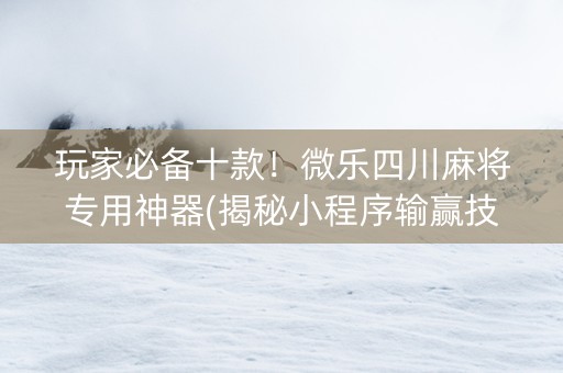玩家必备十款！微乐四川麻将专用神器(揭秘小程序输赢技巧)