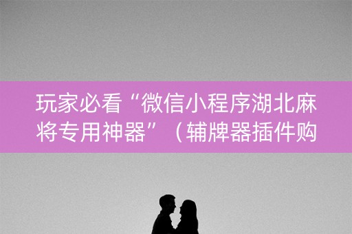 玩家必看“微信小程序湖北麻将专用神器”（辅牌器插件购买)