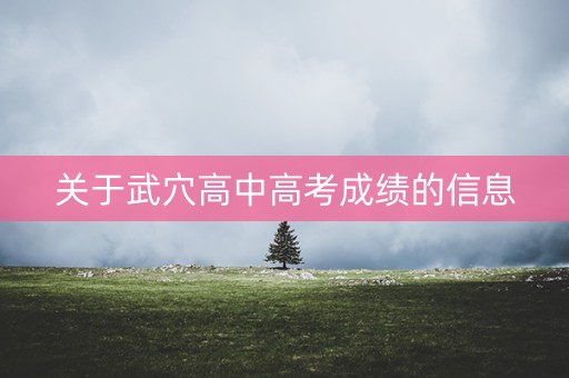关于武穴高中高考成绩的信息