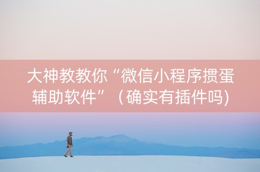 大神教教你“微信小程序掼蛋辅助软件”（确实有插件吗)