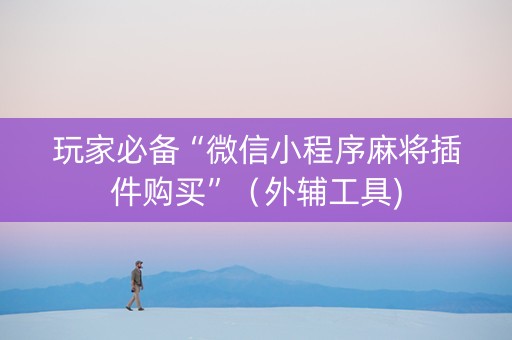 玩家必备“微信小程序麻将插件购买”（外辅工具)