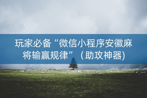 玩家必备“微信小程序安徽麻将输赢规律”（助攻神器)