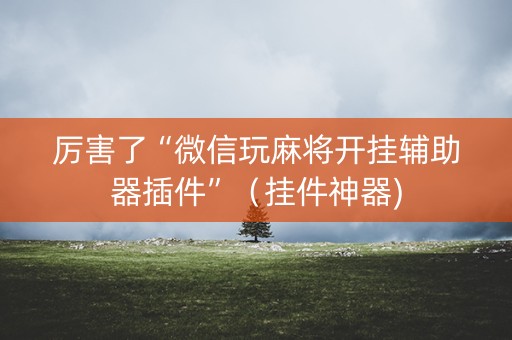 厉害了“微信玩麻将开挂辅助器插件”（挂件神器)