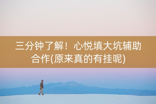 三分钟了解！心悦填大坑辅助合作(原来真的有挂呢)