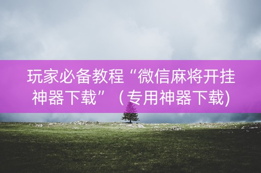 玩家必备教程“微信麻将开挂神器下载”（专用神器下载)