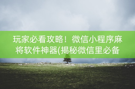 玩家必看攻略！微信小程序麻将软件神器(揭秘微信里必备神器)