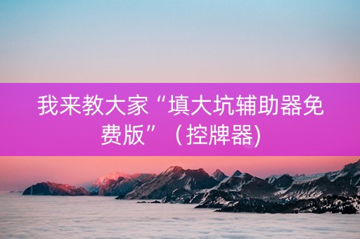 我来教大家“填大坑辅助器免费版”（控牌器)