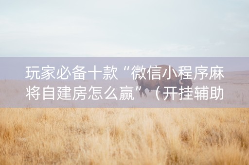 玩家必备十款“微信小程序麻将自建房怎么赢”（开挂辅助器脚本)