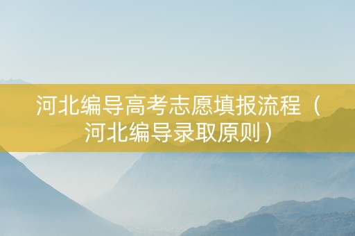 河北编导高考志愿填报流程（河北编导录取原则）