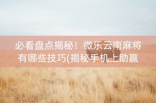 必看盘点揭秘！微乐云南麻将有哪些技巧(揭秘手机上助赢神器)
