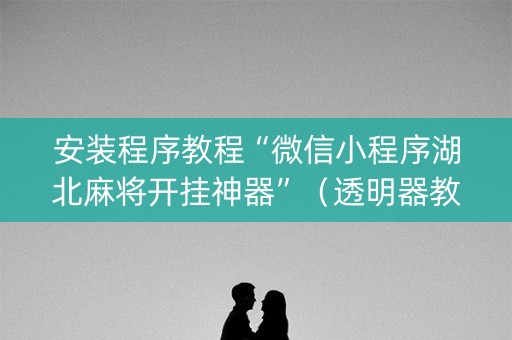 安装程序教程“微信小程序湖北麻将开挂神器”（透明器教程)
