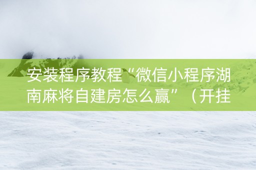 安装程序教程“微信小程序湖南麻将自建房怎么赢”（开挂辅助插件)