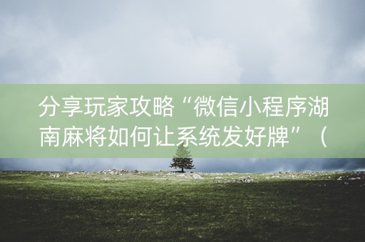分享玩家攻略“微信小程序湖南麻将如何让系统发好牌”（必赢神器免费安装)