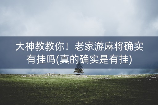 大神教教你！老家游麻将确实有挂吗(真的确实是有挂)