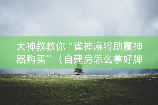 大神教教你“雀神麻将助赢神器购买”（自建房怎么拿好牌)