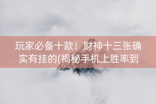 玩家必备十款！财神十三张确实有挂的(揭秘手机上胜率到哪调)