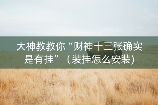 大神教教你“财神十三张确实是有挂”（装挂怎么安装)