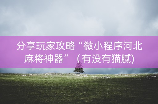 分享玩家攻略“微小程序河北麻将神器”（有没有猫腻)