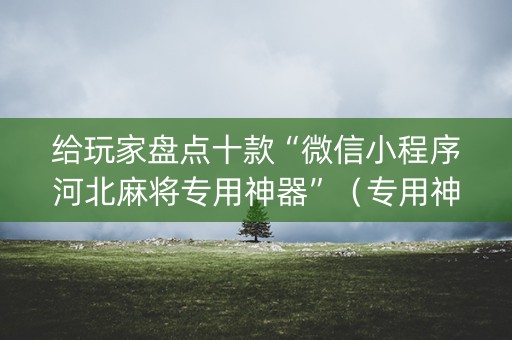给玩家盘点十款“微信小程序河北麻将专用神器”（专用神器下载)