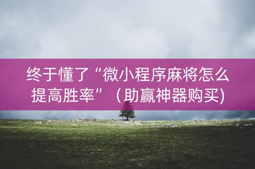 终于懂了“微小程序麻将怎么提高胜率”（助赢神器购买)