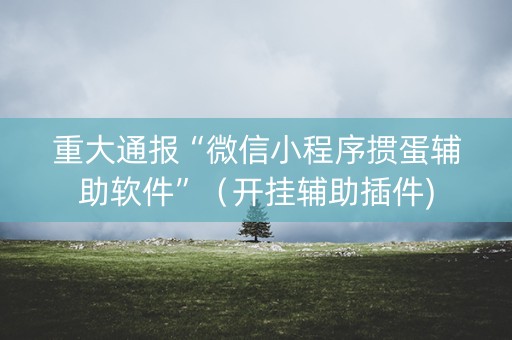 重大通报“微信小程序掼蛋辅助软件”（开挂辅助插件)