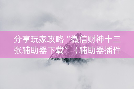 分享玩家攻略“微信财神十三张辅助器下载”（辅助器插件)