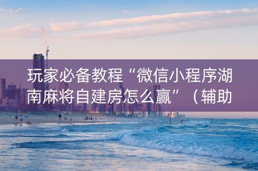 玩家必备教程“微信小程序湖南麻将自建房怎么赢”（辅助器通用版)