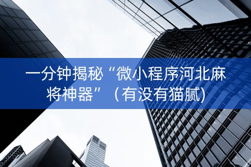 一分钟揭秘“微小程序河北麻将神器”（有没有猫腻)